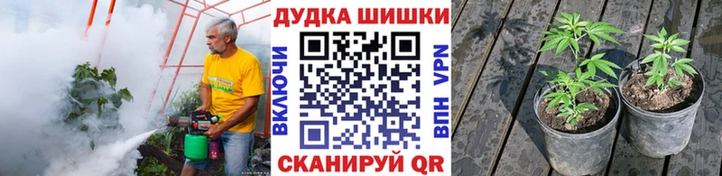 hydra ONION  Малгобек  Каннабис SATIVA & INDICA 